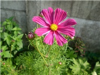 ad865750-Picture 6405.jpg